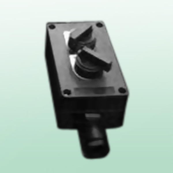 防爆防腐轉(zhuǎn)換開關